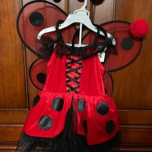 Girls Halloween costume, like new. Only worn once